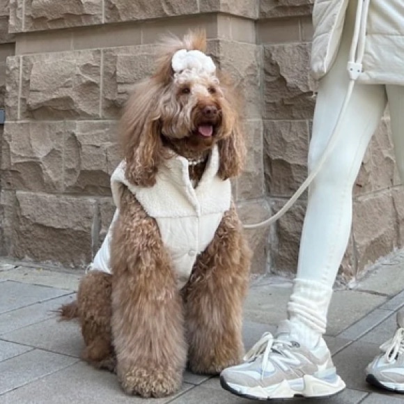 SUGAR CANDY PET NECKLACE SIZE 14” PAWSHION BY GIGI - Picture 1 of 1